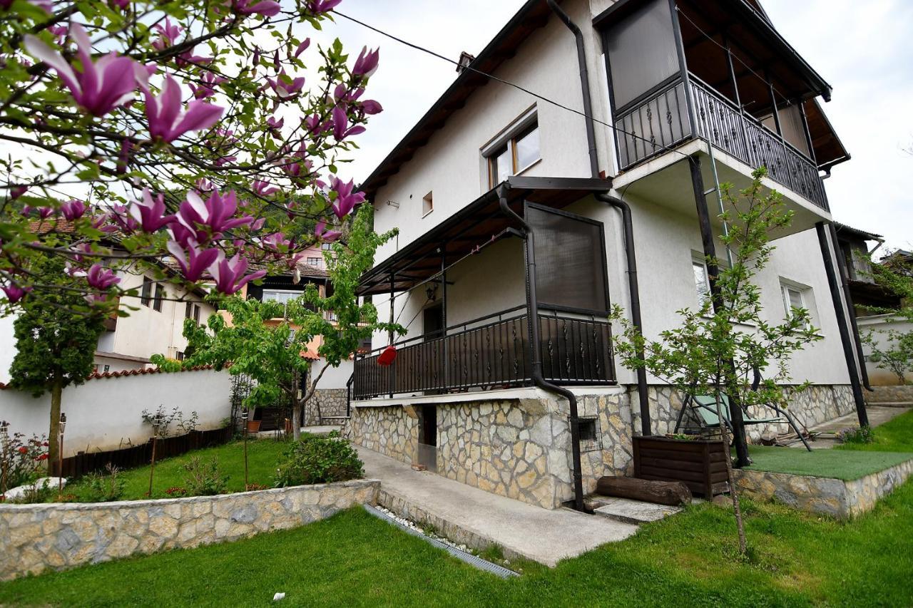 Garden Of Dreams & Free Private Parking Apartment SJJ Exterior foto