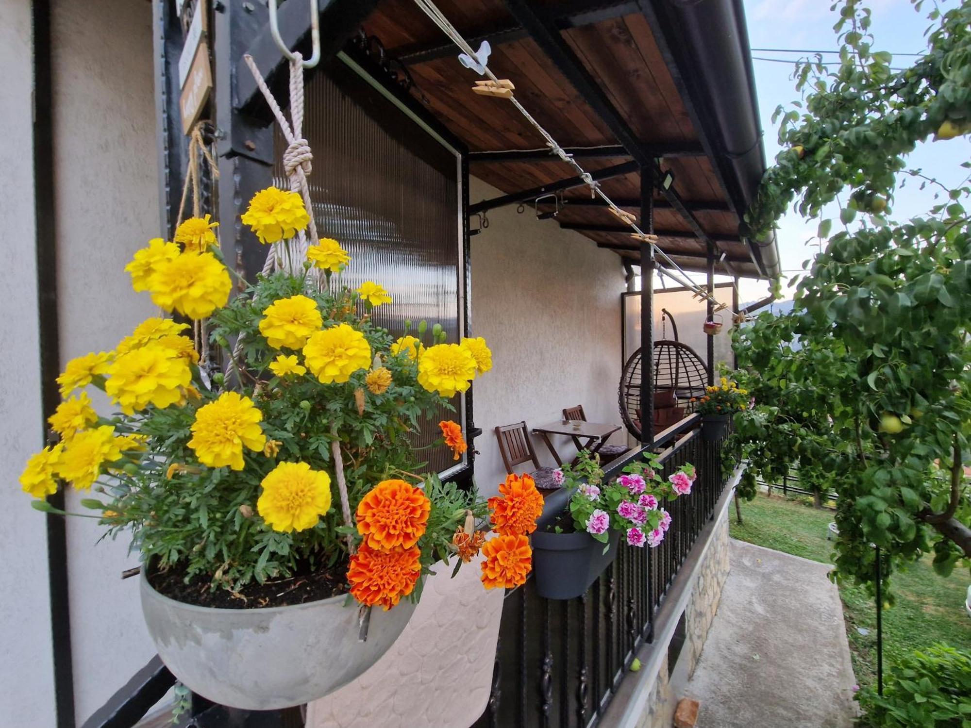 Garden Of Dreams & Free Private Parking Apartment SJJ Exterior foto